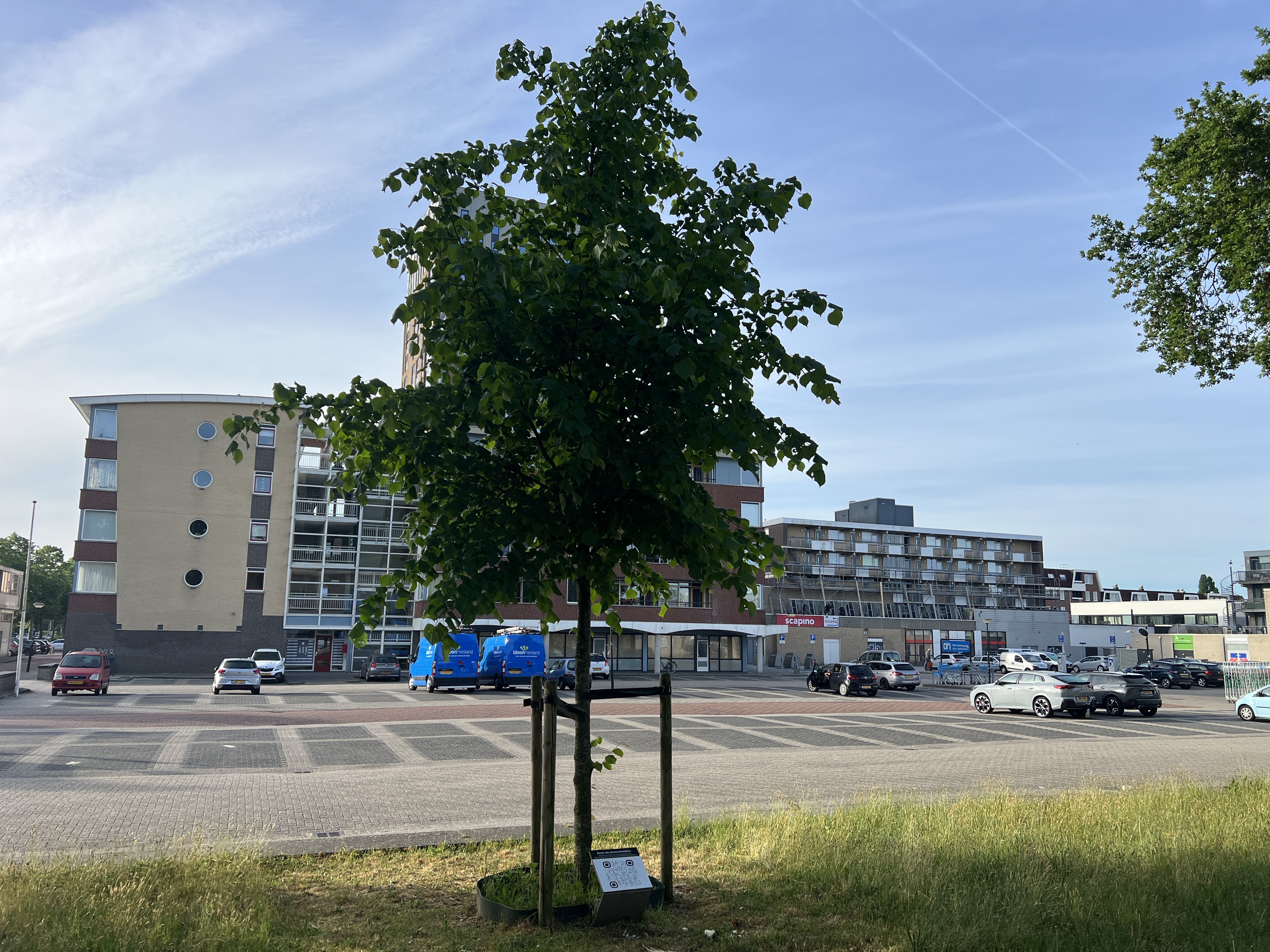 Monument Boom der Onverzettelijken Featured image
