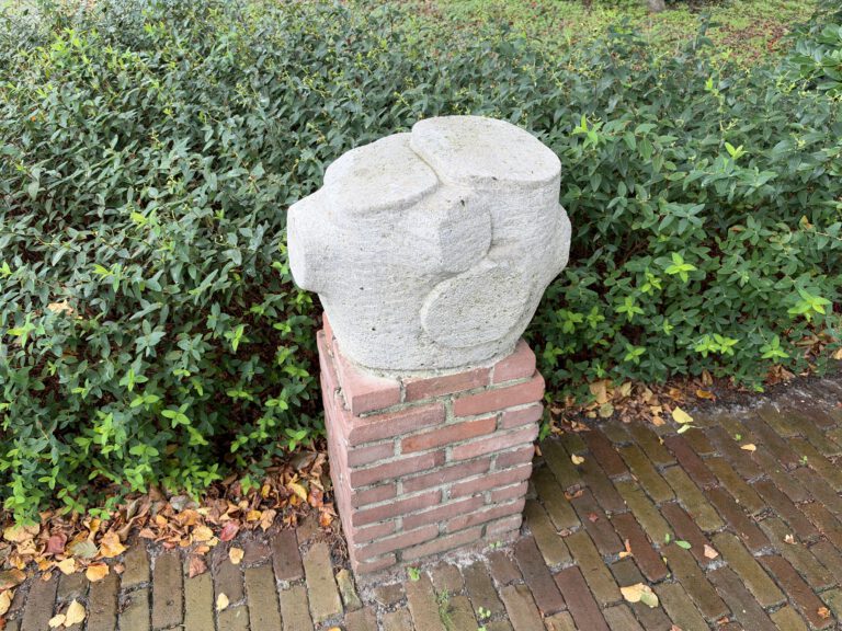 IMG 0023 768x576