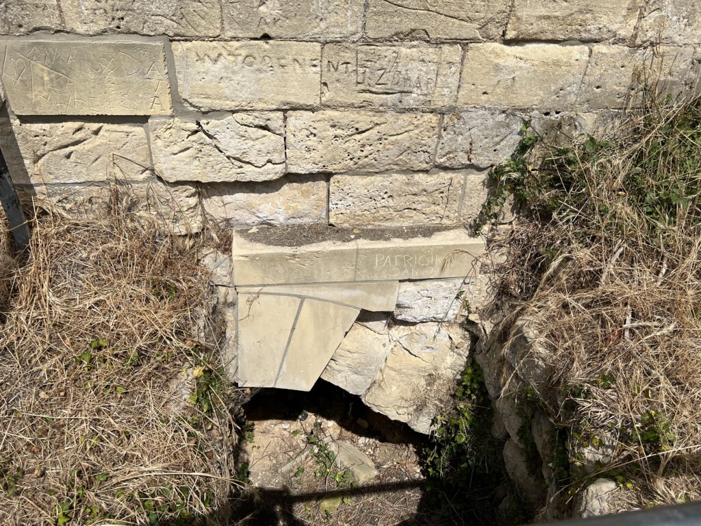 IMG 4901 1024x768