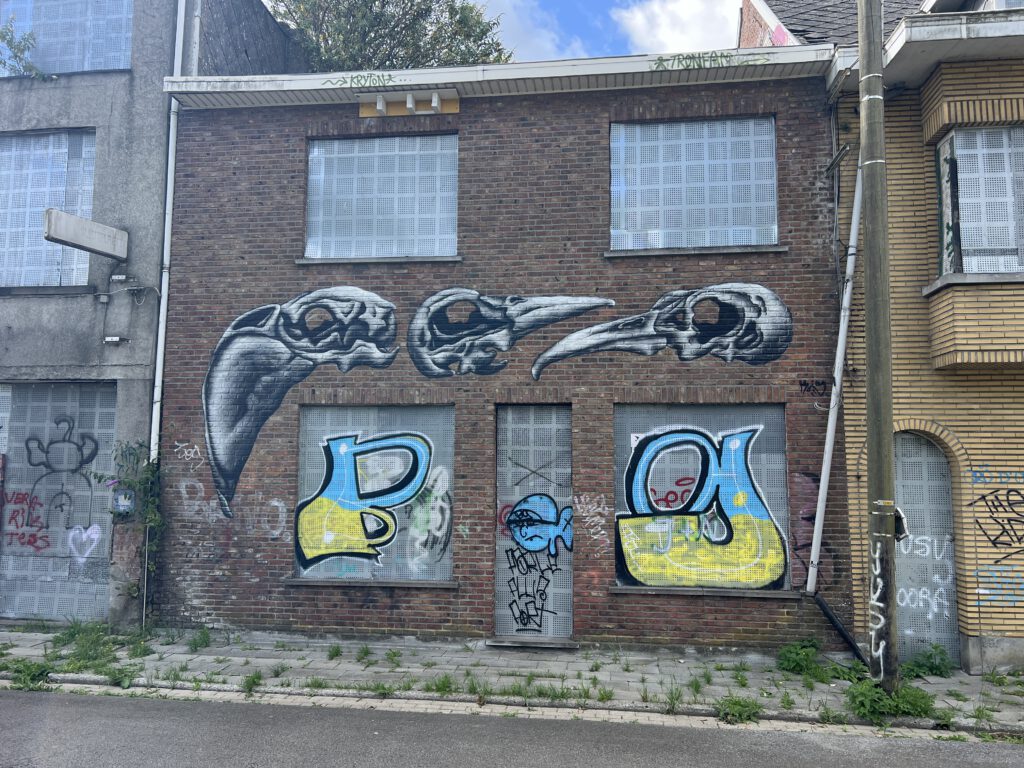 IMG 8348 1024x768